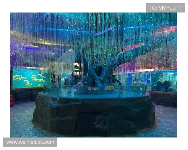 回力海立方娱乐场VIP制度介绍，尊享专属福利与个性化服务方案