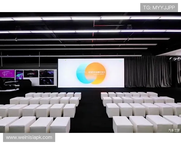 大阳城集团在游戏产业中的品牌建设与用户口碑提升策略