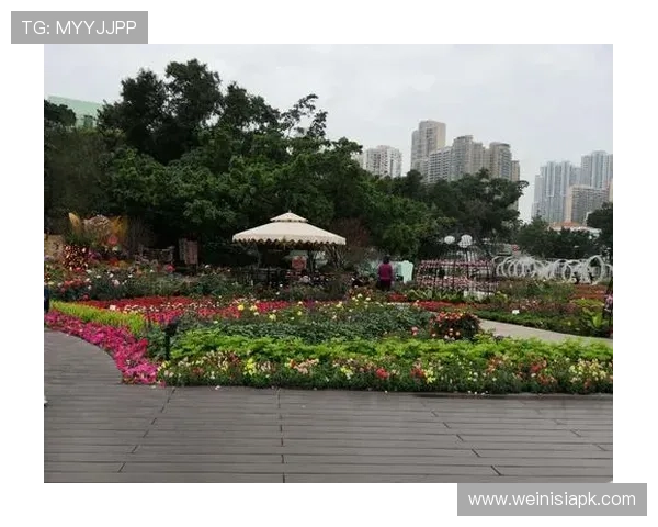 澳门彩注册登录入口稳定可靠的登录平台助力玩家轻松进入澳门游戏世界